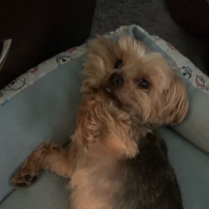 Meet your Posher, Matthew